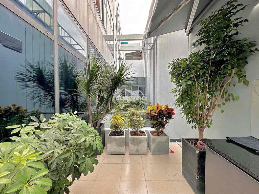 Chdv mảng xanh sân thượng riêng/penthouse tách bếp full nt hiện đại - Ảnh 2