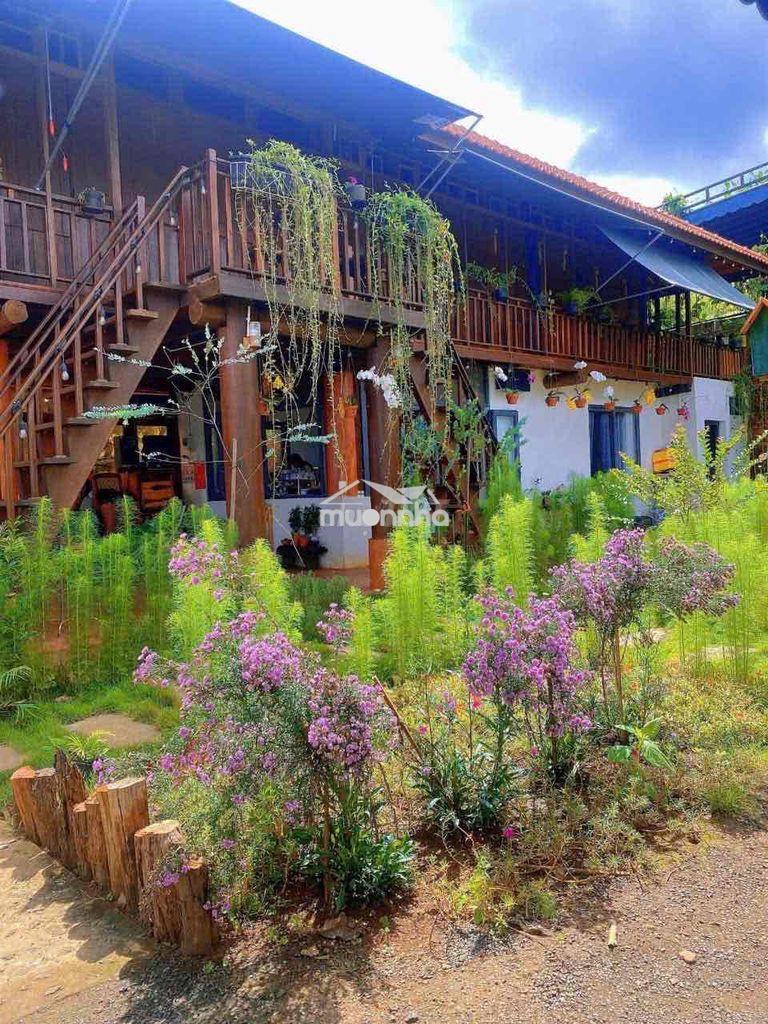 Homestay view đồi hoàng hôn cuối nguyễn hữu thấu 17x20m giá 7,9 tỷ - Ảnh 4