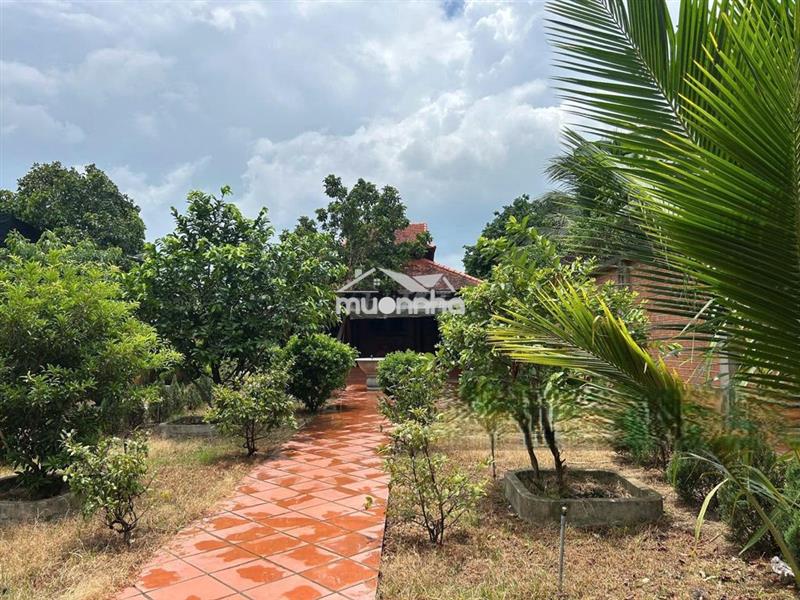 Bán đất tặng nhà vườn 556m2-1tỷ150 tỉnh lộ 2, xã tân phú trung, củ chi
