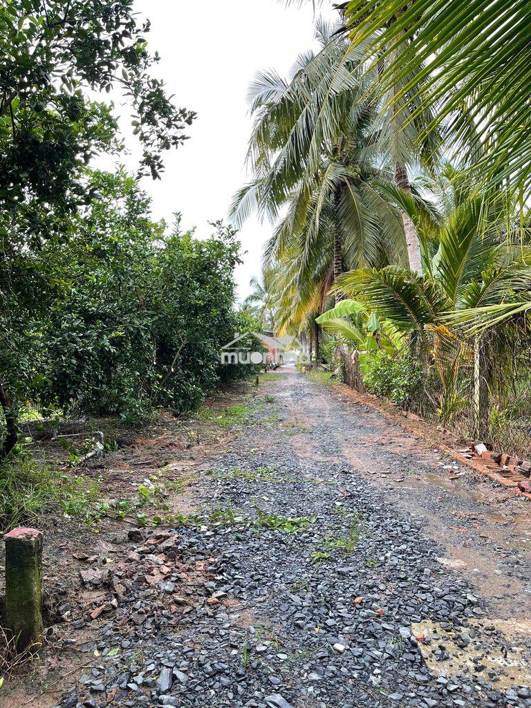 Bán đất long hưng, tiền giang, đồng tháp. 17,56mx 27m= 474m, đường ôtô - Ảnh 2