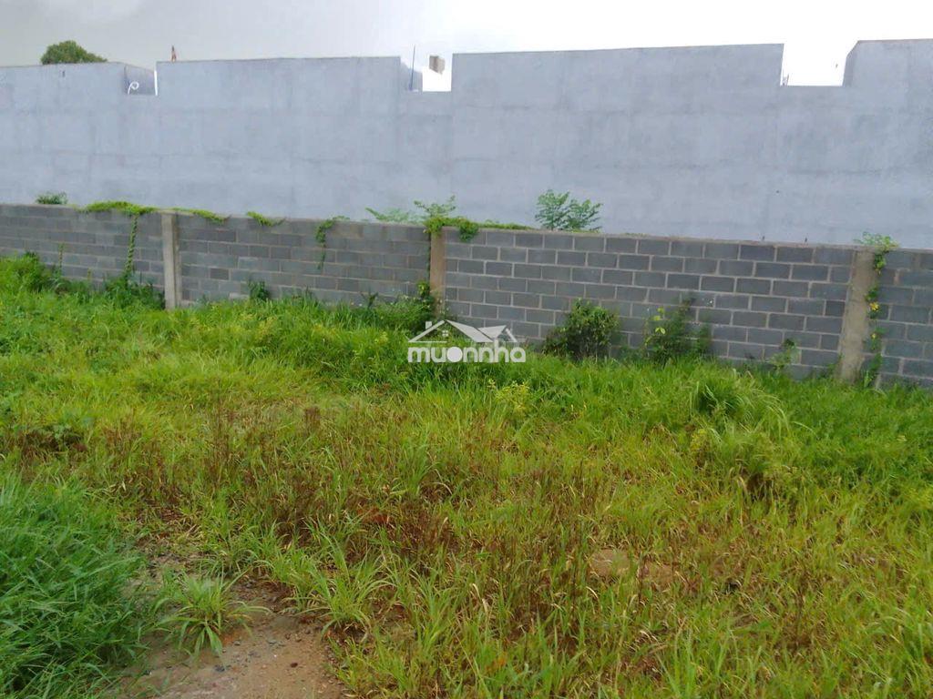 Bán đất 529m2 ở biên hòa, giá 3.3 tỷ, sổ hồng riêng - Ảnh 3