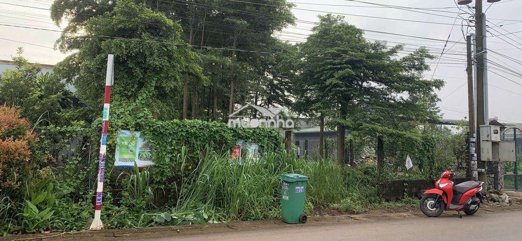 🏡 Bán đất thổ cư kèm vườn - hưng thịnh, trảng bom - Ảnh 4