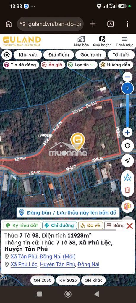 Cần chuyển nhượng quỹ đất hiếm 11.928m2 - p. tân phú, tp. đồng nai - Ảnh 3