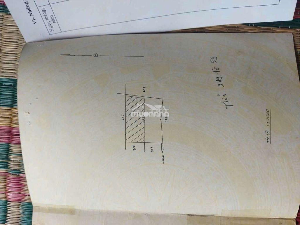 Bán đất nông nghiệp 3000m xã tân nhựt - Ảnh 2