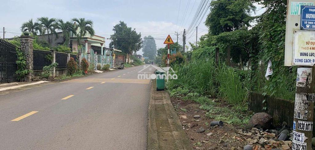 🏡 Bán đất thổ cư kèm vườn - hưng thịnh, trảng bom - Ảnh 2