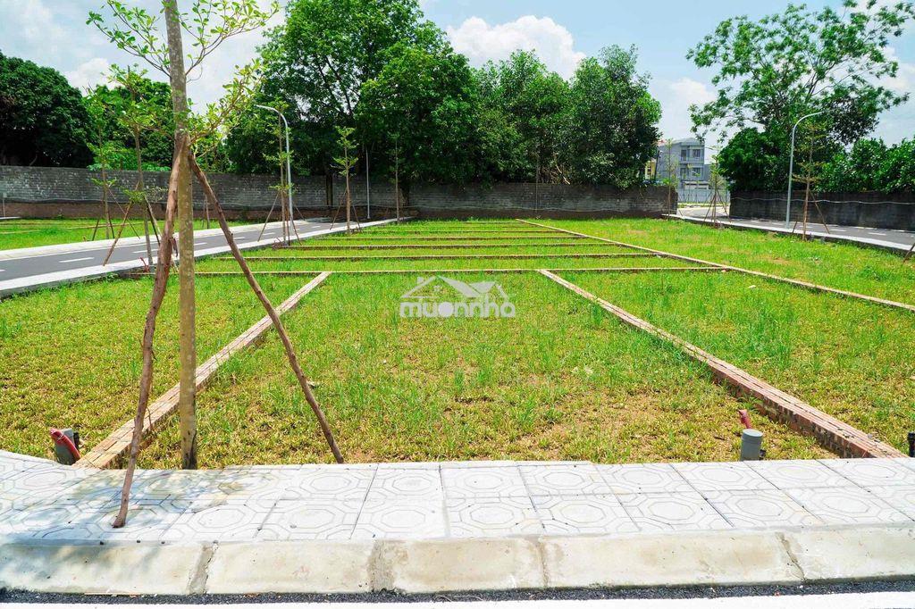 Cắt lỗ, bán gấp lô đất nền lạc thuỷ đường phân lô, gần khu vđai5 100m2 - Ảnh 2