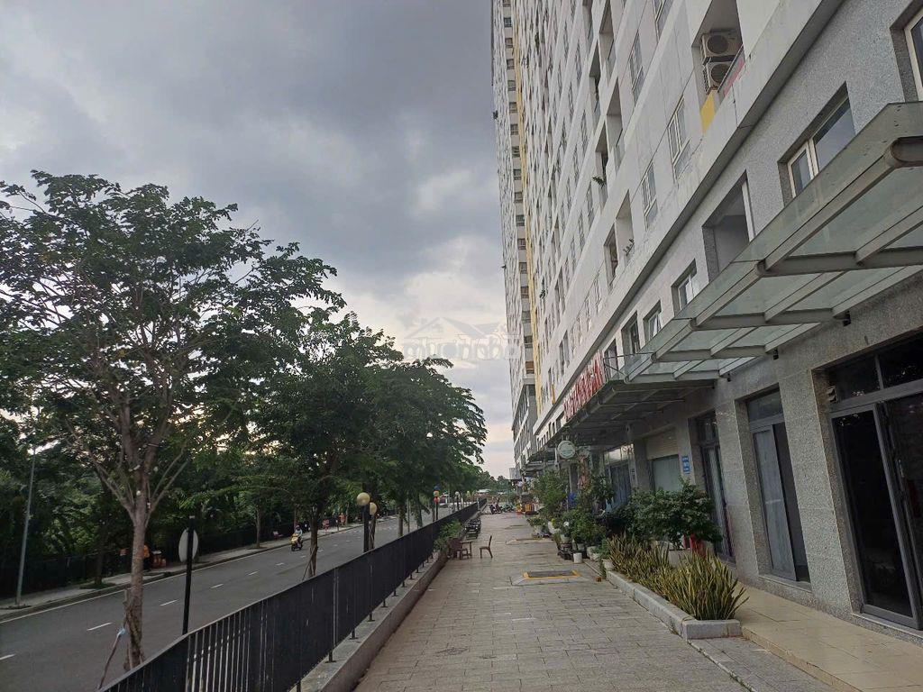 Cho thuê shophouse 1 trệt 1 lầu vừa ở vừa kinh doanh - Ảnh 3