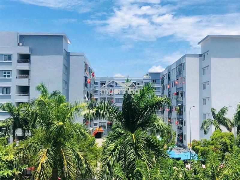 🏠 Chính chủ bán chung cư trung tâm sơn trà – 2,5 tỷ
