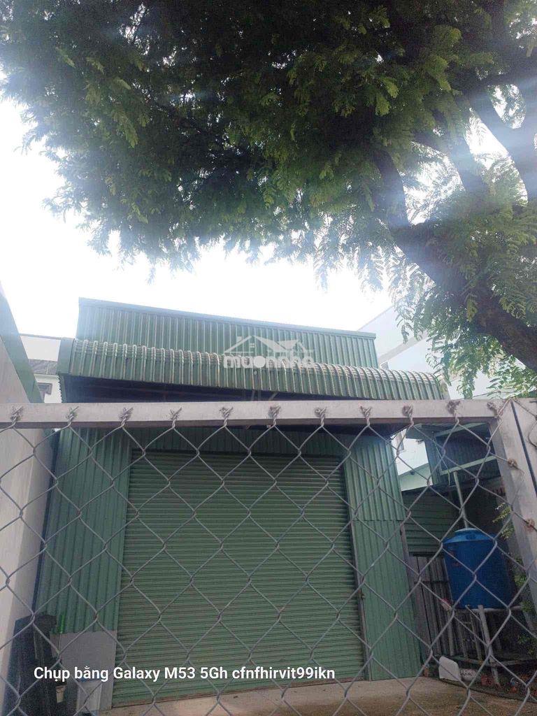 Kho phú thọ 6x25 chỉ 7tr/th - 2