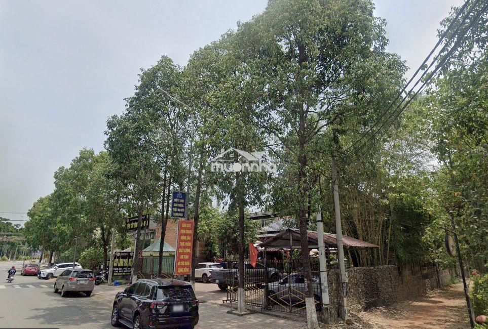 Bán góc 2mt quán cafe tthc phú giáo bình dương 1200m2 thổ cư giá 20 tỷ - Ảnh 2