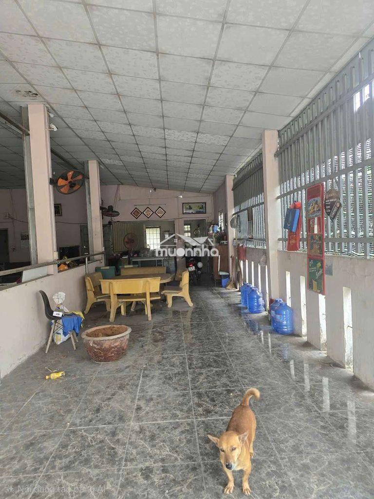 Bán đất tặng kho lô nhì đoàn nguyên tuân gần chợ hưng long 1387m - Ảnh 3