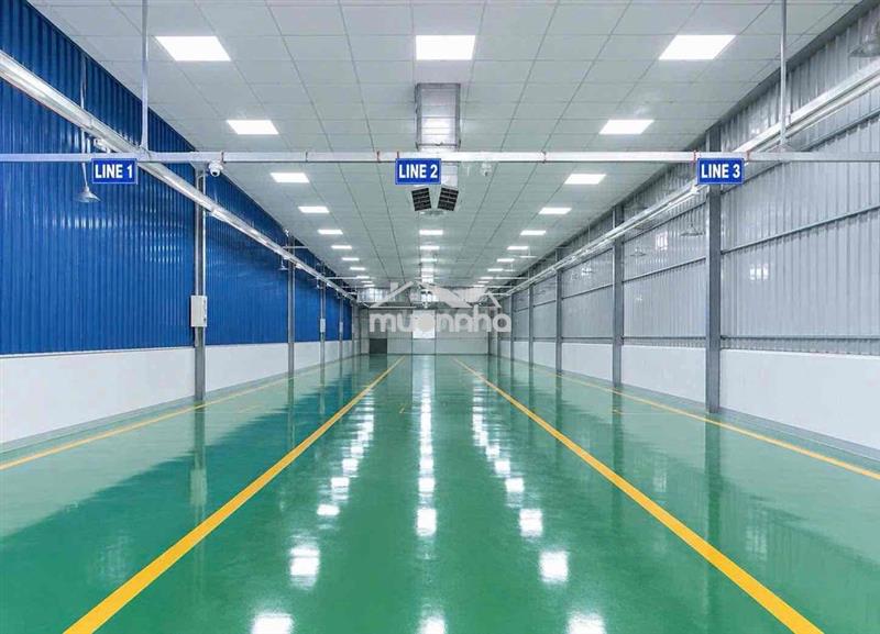 Cho thuê xưởng 300m2 gần chợ thông dụng - an phú