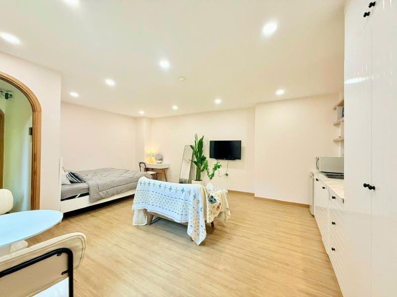 Cho thuê studio 35m2 có thang máy ngay cầu phố đi bộ bùi viện - công viên 23/9 - Ảnh 3