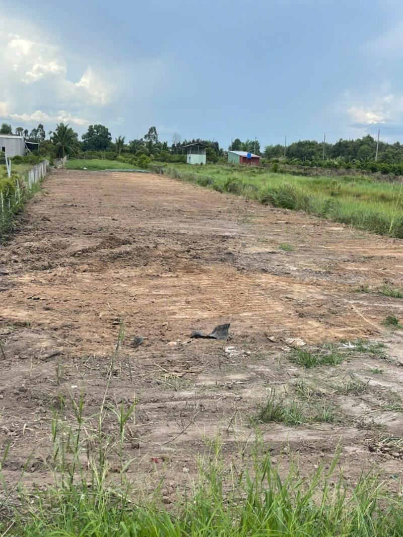 Bán đất mặt tiền tỉnh lộ 818, tân thành , thủ thừa dt 449,2m2 full thổ giá 2,95 tỷ - Ảnh 2