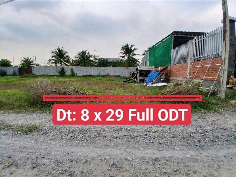 Bán đất / ấp chánh , thị trấn hậu nghĩa 232m2 full thổ đường oto đá xanh giá chốt 1,25 tỷ - Ảnh 3
