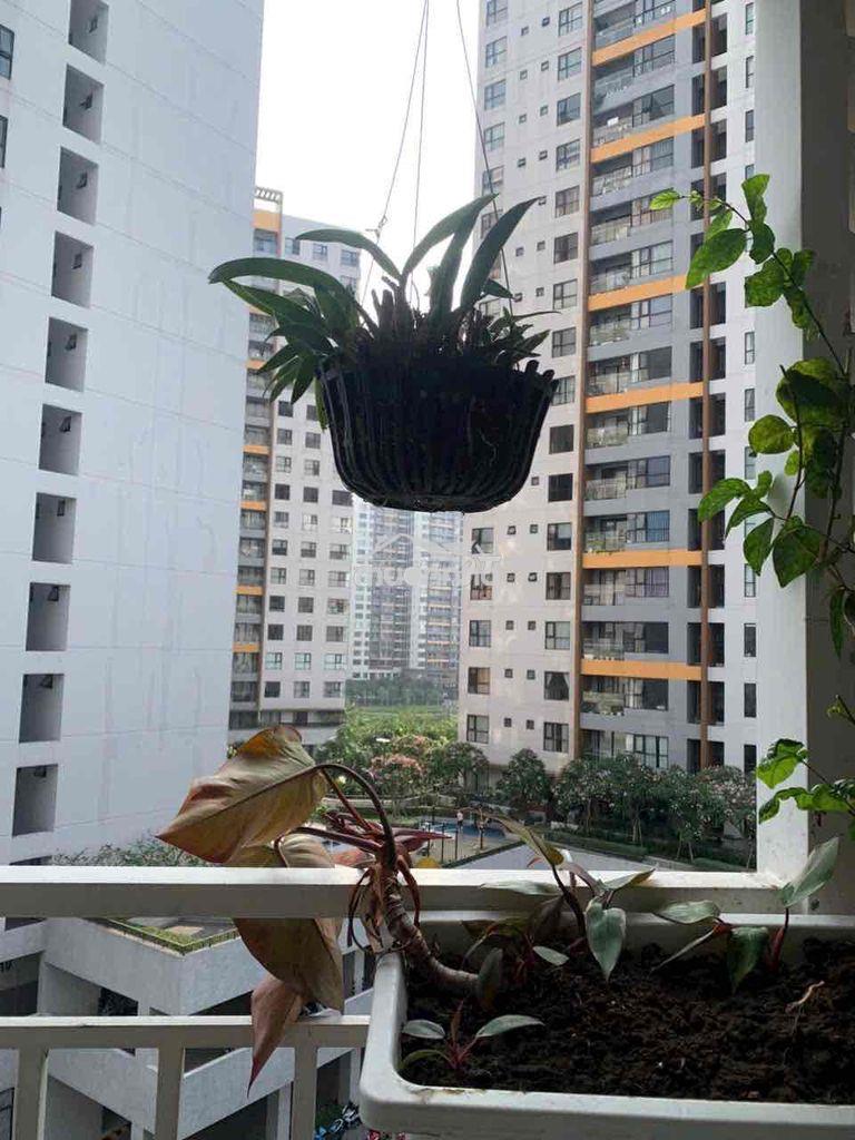 Căn hộ 71m2, 2pn,2wc, 2 ban công, 1 lô gia - Ảnh 2
