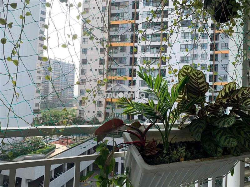 Căn hộ 71m2, 2pn,2wc, 2 ban công, 1 lô gia