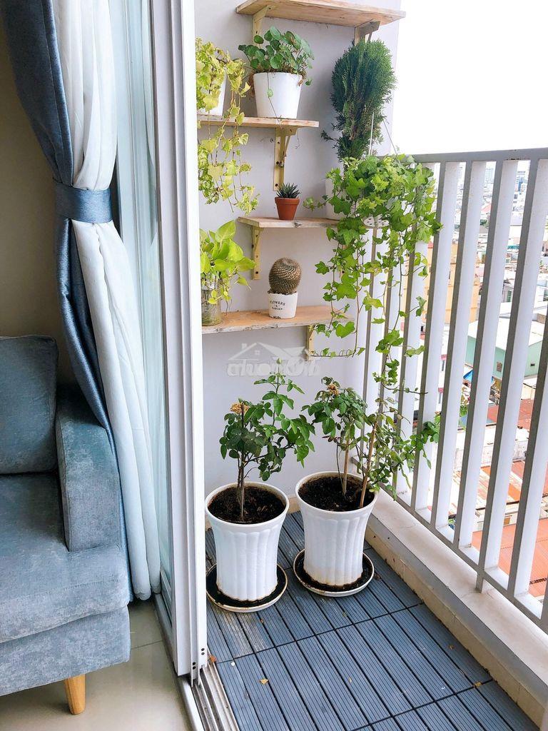 Cho thuê căn hộ harmona, 50m2, 1pn, 11tr - Ảnh 2