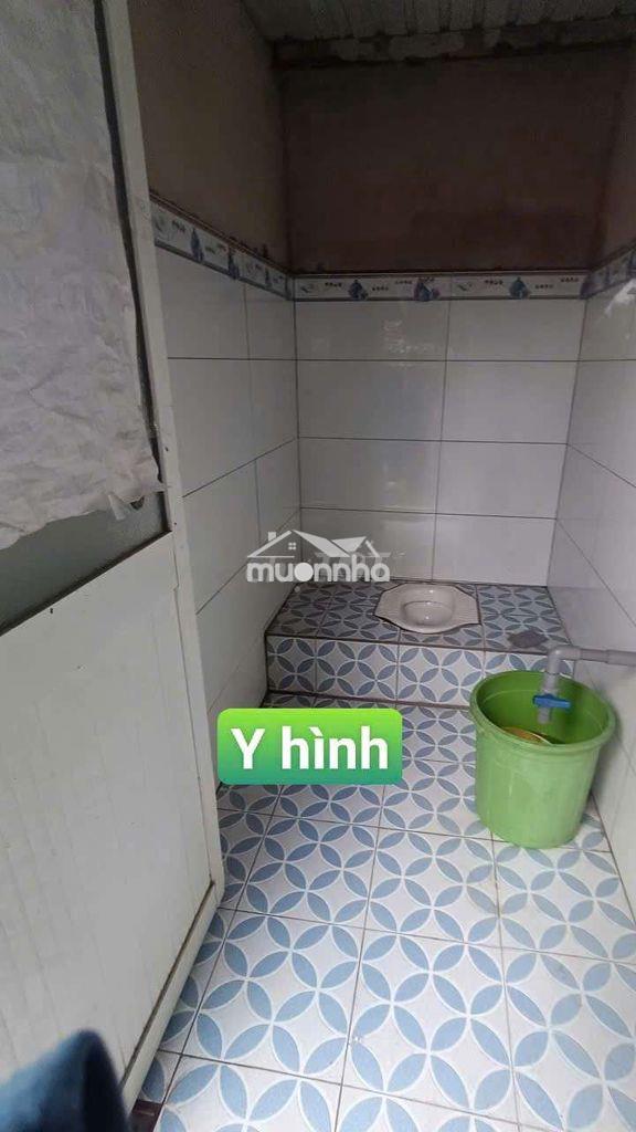 Nhà vườn trái  cây 8*25 có nhà tôn  đường kênh trung ương vĩnh lộc b - Ảnh 4