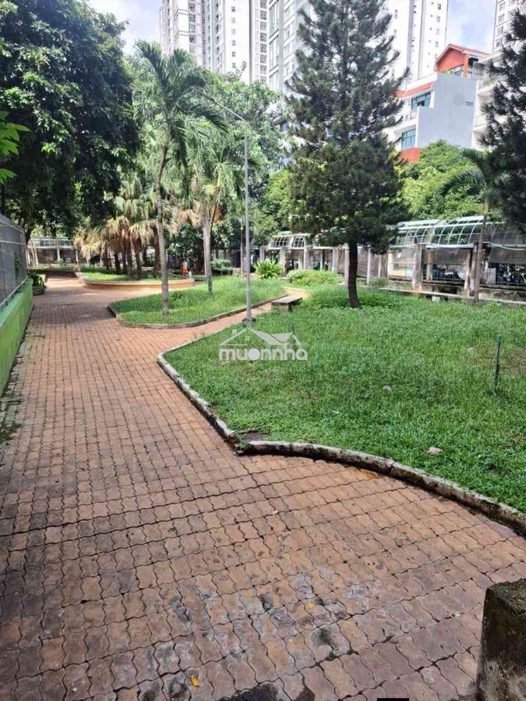 Căn hộ chung cư ngay lý thường kiệt chỉ 2.9 tỷ - Ảnh 2