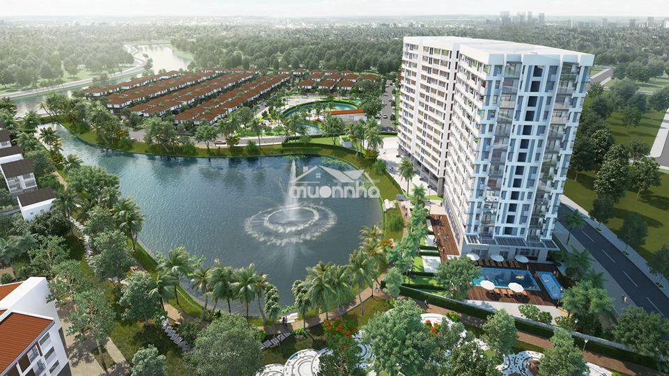 Cho thuê ch florra kikyo, 55m2 1+1pn full nt, giá chỉ 8tr/tháng - Ảnh 2