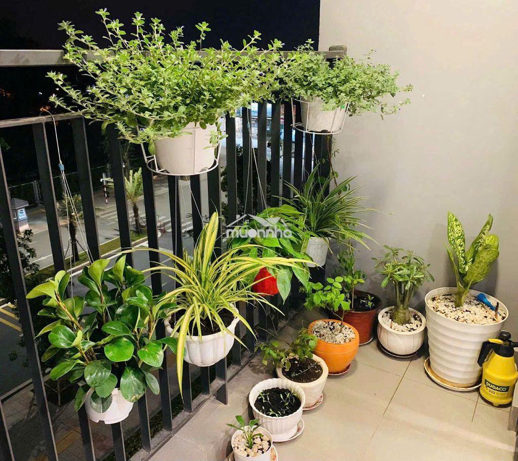 Cho thuê căn s101 1pn+ full nội thất - Ảnh 4