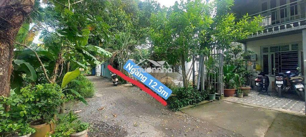 Nhà12,5×23m,tlcc,1xẹt tỉnh lộ9,về q12 7km - Ảnh 2