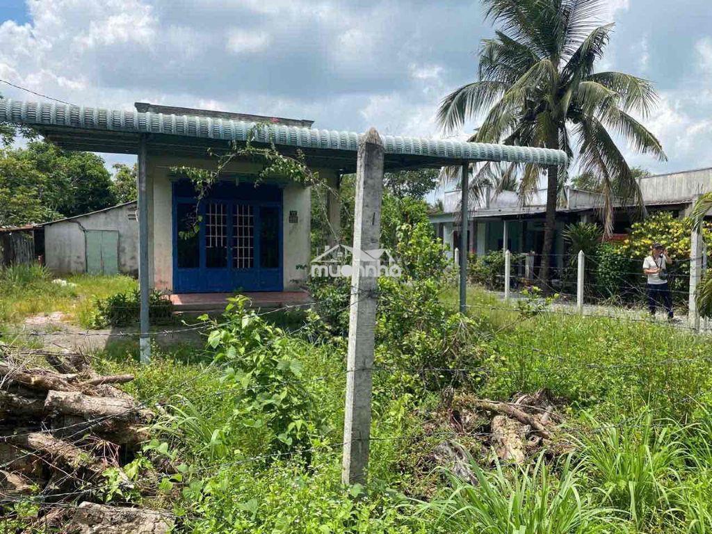 845m2, ngang 40m dài 22m, có sẵn căn nhà cấp 4, 300m2 tc - Ảnh 2