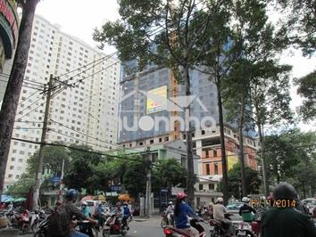 Bán chung cư tân phước, q11, 110m2, 3pn, 3wc, 6 tỷ - Ảnh 3