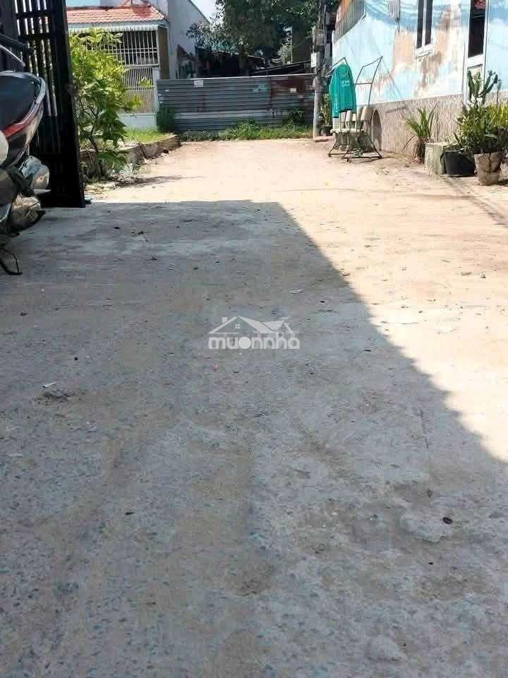 Trịnh thị miếng . - Ảnh 3
